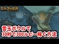 【ゼルダの伝説 BOW】雪玉ボウルで30秒で300ルピー稼ぐ方法