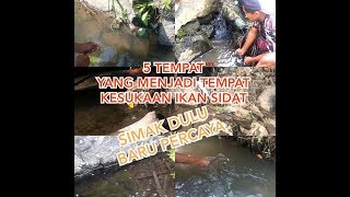 NYATA \u0026 BUKAN HOAX !!! 5 TEMPAT YANG MENJADI SARANG IKAN SIDAT