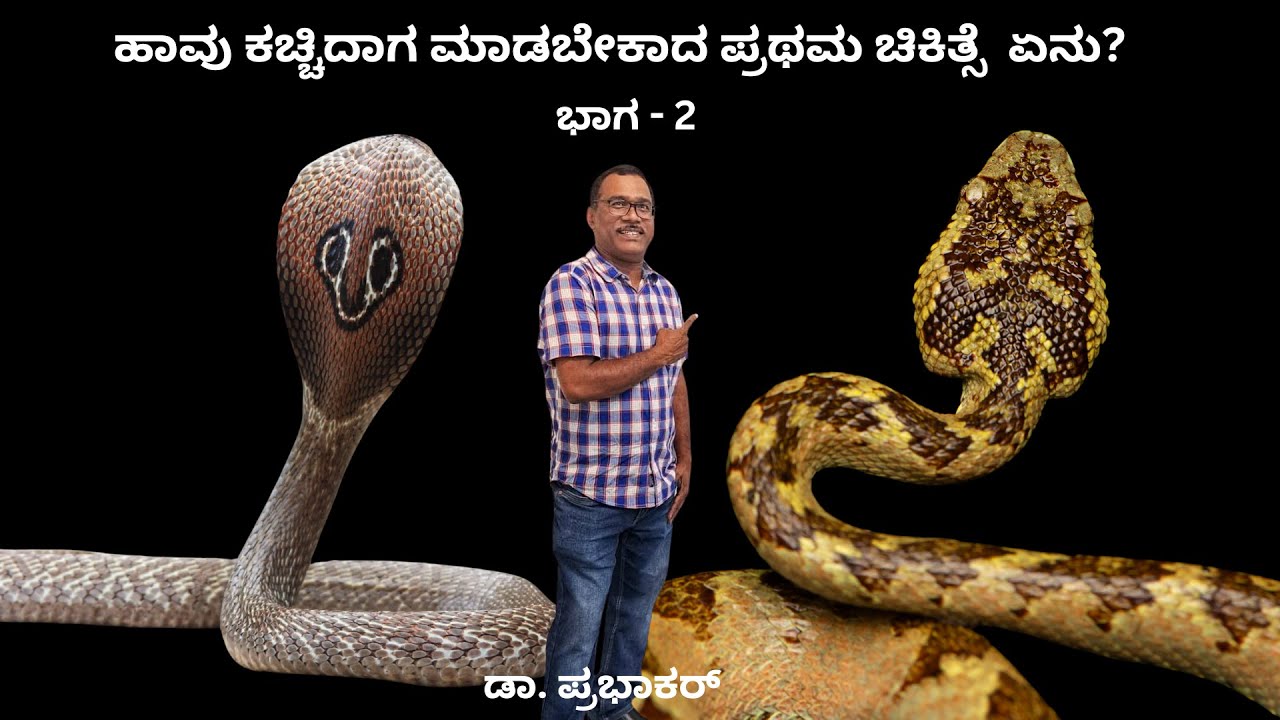 ಹಾವು ಕಚ್ಚಿದ ತಕ್ಷಣ ಈ ತಪ್ಪುಗಳನ್ನು ಮಾಡಲೇಬೇಡಿ! ಪ್ರಾಣ ಉಳಿಸಲು ಈ ಮಾಹಿತಿ ತಿಳಿದಿರಲಿ.