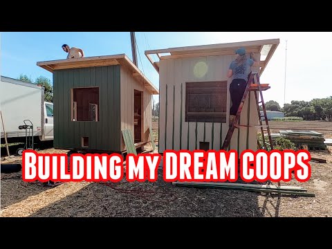 building-my-dream-chicken-c…
