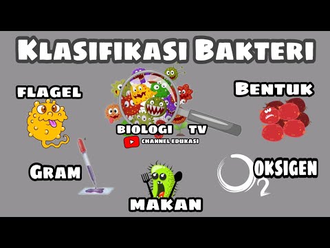 Klasifikasi Bakteri/Dasar pengelompokan bakteri : biologi semesteri SMA