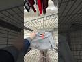Is January the best time to thrift?? #thrift #thrifthaul #vintage #shopping