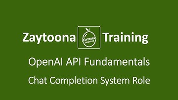 OpenAI API with Node.js: Lesson #14 (Chat Completion System Role)