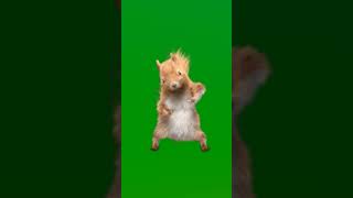 #monkey #futebol #edit #foryou #gacha #rubronegra #scary #drawing #freefire