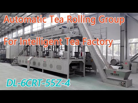 Fully automatic tea rolling group machine for intelligent tea factory, for black/green tea process.