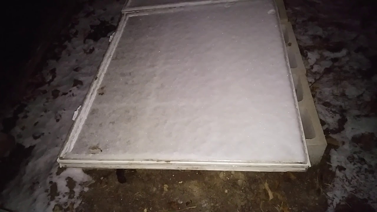 black mirror season 5 Canadian Winter Garden Part 2 ( How we are progressing in Eastern, Ontario zone 5B)