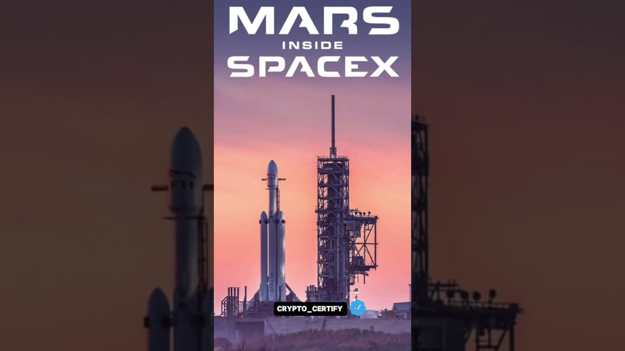 Dogecoin prediction 2024 2025 2026 