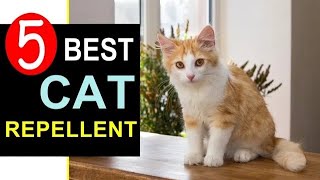 Best Cat Repellent 2023-2024 🏆 Top 5 Best Cat Repellent for Yard & Garden [REVIEW]