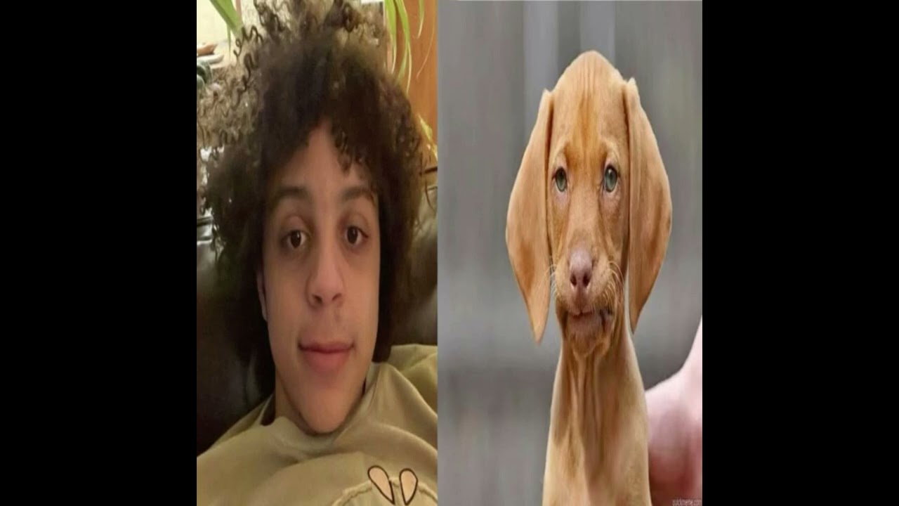 [FREE] xaviersobased jerk type beat 