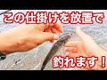【簡単】死にアジでアオリイカが勝手に釣れる仕掛けがこれです。