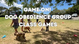 Game on Groupclasses! New online course for dog trainers teaching groupclass - Trailer screenshot 1