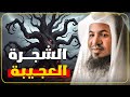 ما هي الشجرة الملعونة وأين توجد القصة التي حي رت المفسرين الشيخ محمد الشنقيطي