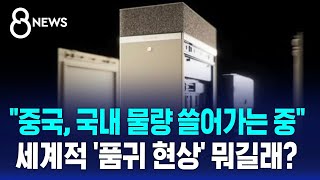 &quot;중국, 국내 물량 쓸어가는 중&quot;…세계적 &#39;품귀 현상&#39; 뭐길래? / SBS 8뉴스