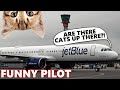 Pilot Hears Cat Working As Controller | Funny ATC & Pilot