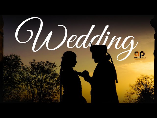 Wedding Highlights: Highlights