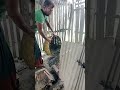 Blackstone. #blacksmith #medievalblacksmith #shortvideo