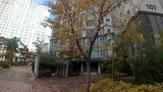 Fall In Daegu, Korea (Gopro Hero 8 - Testing) Resimi