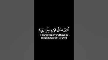 رِيحٌ فِيهَا عَذَابٌ أَلِيمٌ | كروما قرآن كريم | محمد صديق المنشاوي شاشه سوداء