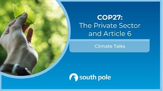 COP27: The Private Sector and Article 6