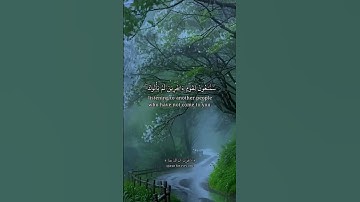 قران كريم #اكسبلور #yasseraldossary #لايك #القزابري #راحة_نفسية #المصحف #duet #قران_كريم #دويتو