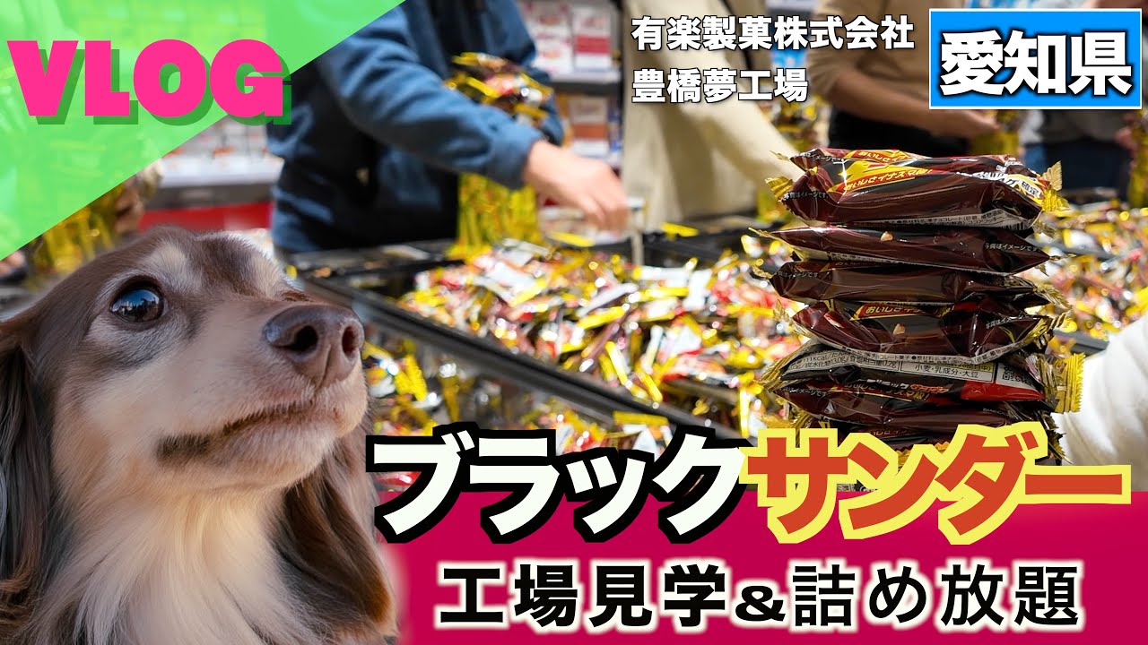 【時速5万個】ブラックサンダー爆速生産の工場見学&夢の詰め放題