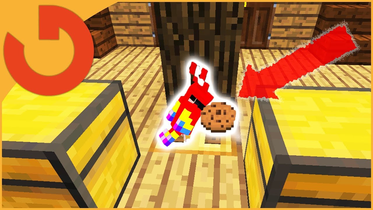 THIS PARROT FEEDS PLAYERS COOKIES! (Minecraft Mob Trolling S3E2) - YouTube