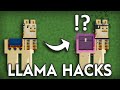 Minecraft Llamas - Facts That You Probably Didn't Know About