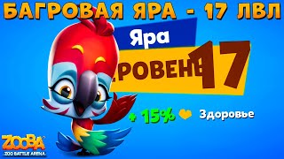 КАЧАЕМ БАГРОВОГО ПОПУГАЯ ЯРУ НА 17 УРОВЕНЬ В ИГРЕ ZOOBA