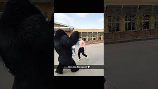 Monkeys In Walmart Prank Dylan Wallace