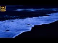 Ocean Waves for Deep Sleeping | Deep Sleep CHAMPIONS Ocean Waves for Insomnia Relief