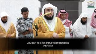 Бандар Балила | Аяты из Суры «Нур»