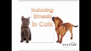 Induction of Emesis in Veterinary Patients (Preview)