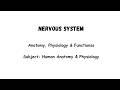 Nervous System Explained in 15 Minutes 🧠 | Anatomy, Cranial Nerves, ANS &amp; Reflexes