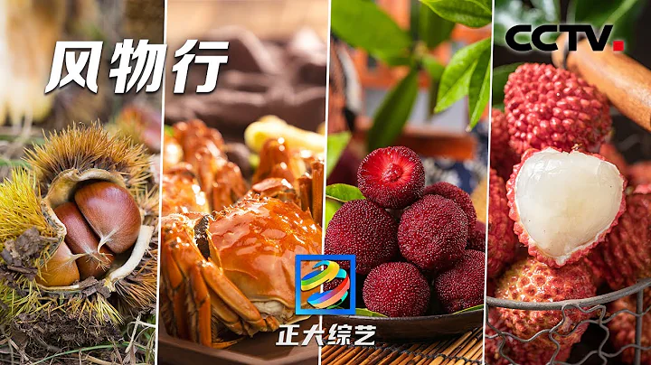 【Full】風物行，大美中國的四季風物都在這裡！盤點共同走過的絢爛風景 | CCTV「正大綜藝」20221218 - 天天要聞