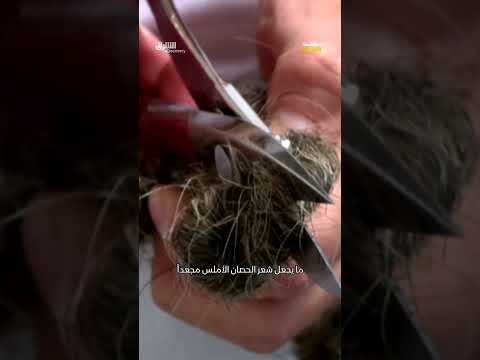 فرشة الأغنياء