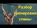 Тренировка мышц спины (live)