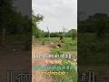 shorts #futboll #ronaldo #shorts #reels #youtube #viral