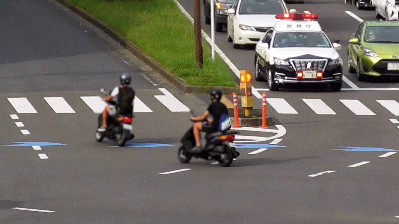 【実録】警察取締り24時LIVE：白バイ・パトカー密着取材、検挙の瞬間ノンストップ放送【警察vs交通違反者】