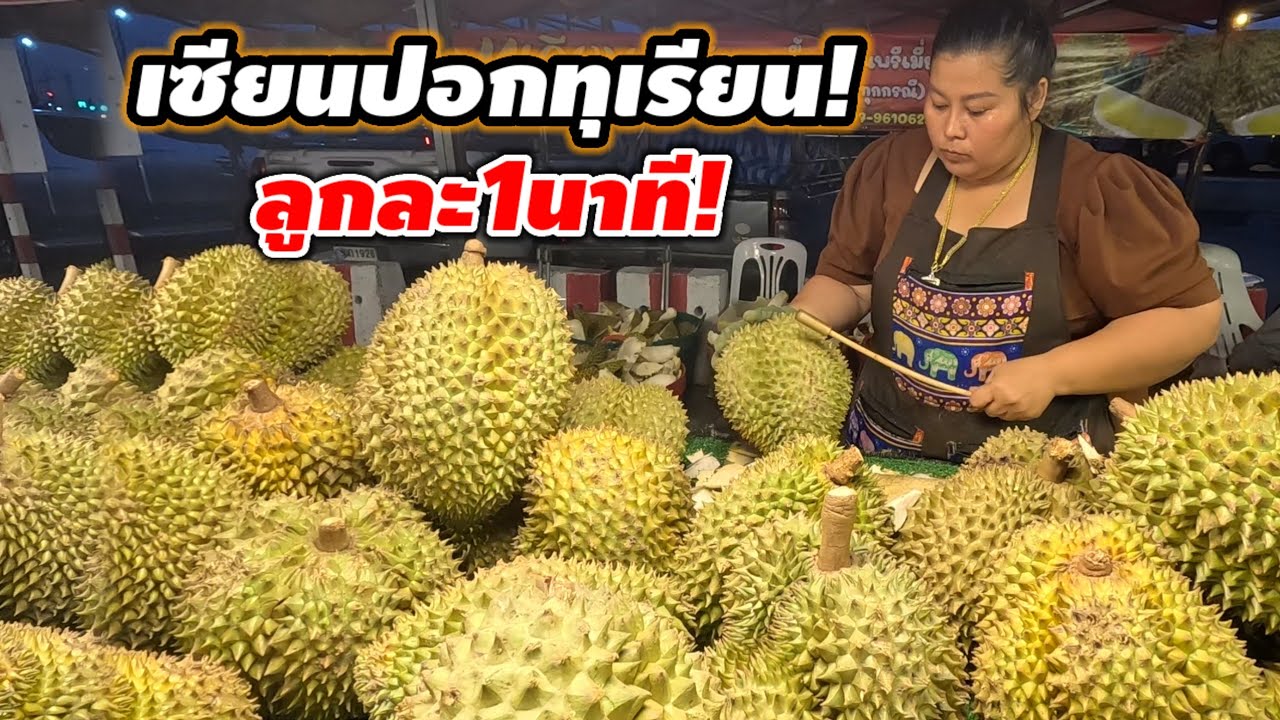 คนเดียวปอกวันเป็นตัน‼️สุดยอดการปอกทุเรียนหมอนทองระยอง ลูกใหญ่เนื้อดี หวานมัน