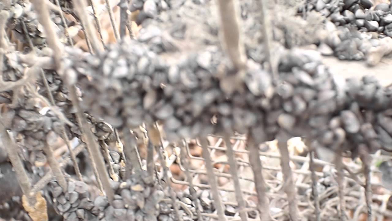 Shopping at the Oranienburger Lehnitzsee