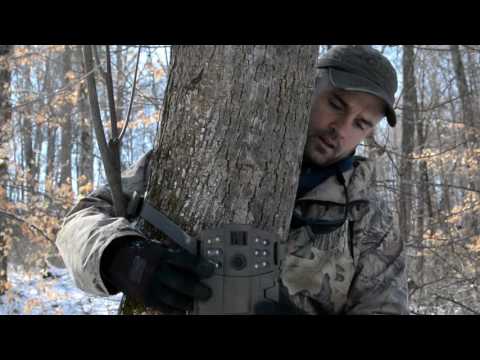 How to Set Up a Post Season Trail Camera Survey