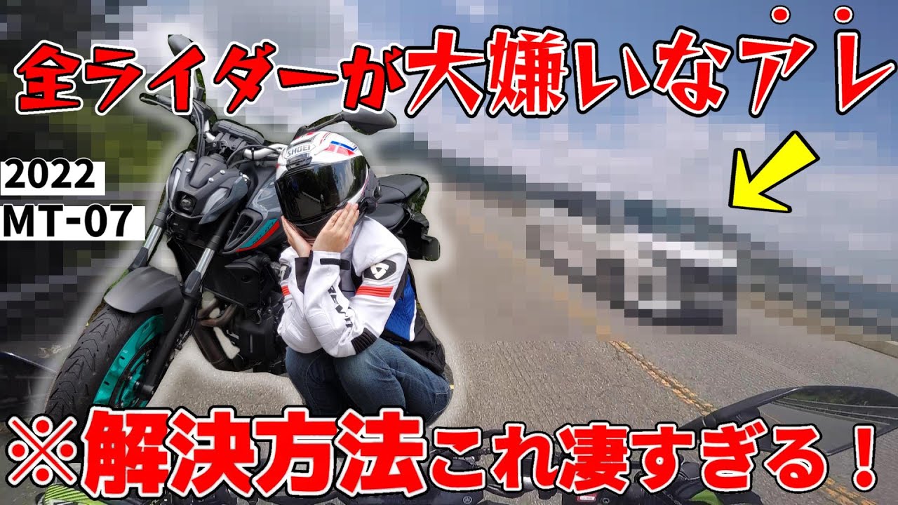 大型バイク女子になった嫁がライダーが全員嫌いなアレに勝ちました【MT-07】