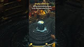 Mahadev status video bholenath status mahakal status Shivstatus #viral #shivaarti #bhajan#god #like