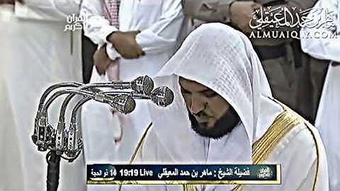 تلاوة عذبة بأداء ماتع من الشيخ د. ماهر المعيقلي لآواخر سورة النبأ || ترجمة فرنسي