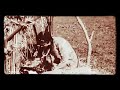 أمي ضميني دوبيني غرقيني في الحنان أمي ضميني دوبيني غرقيني في الحنان