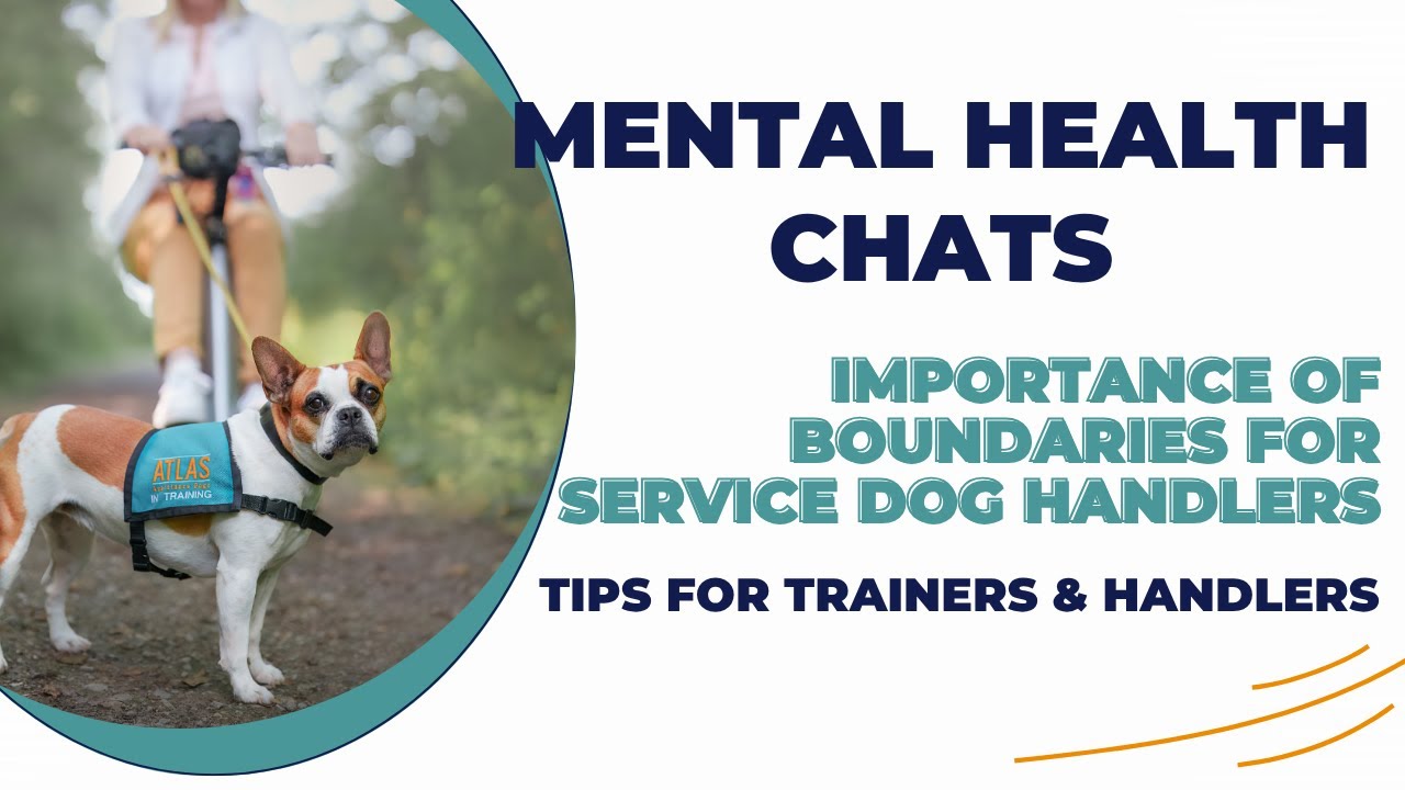 Mental Health Service Dogs: Transforming Lives Daily