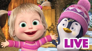 ماشا والدب 👱‍♀️ LIVE STREAM! 🌟😵 هارلي قوي البنية حولنا 🌟😵 Masha and the Bear