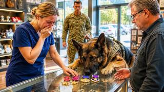Desperate Army Nurse Brought Her Combat Medals to a Pawn Shop — Then a Marine's K9 Refused to Leave
