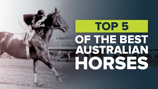 Awesome Australians! | Best Racehorses From Down Under | From Phar Lap To Black Caviar & Winx