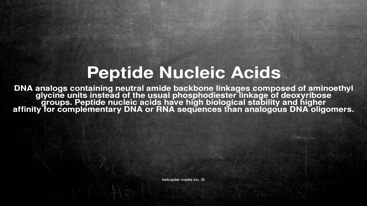 Medical vocabulary What does Peptide Nucleic Acids mean YouTube